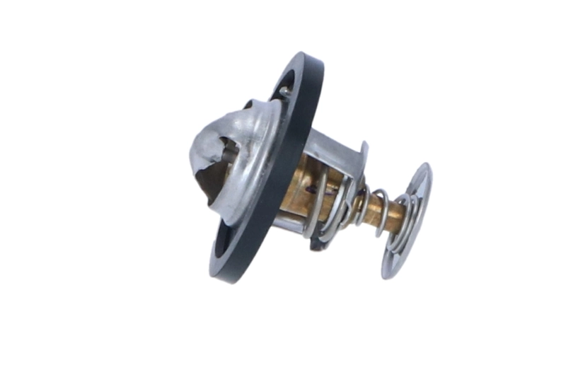 Termostat lichid racire