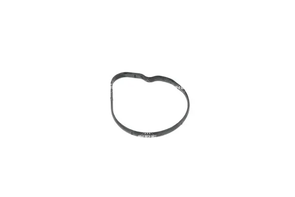 Termostat,lichid racire