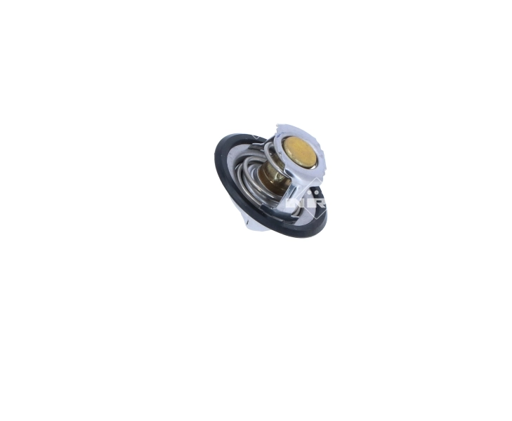 Termostat,lichid racire