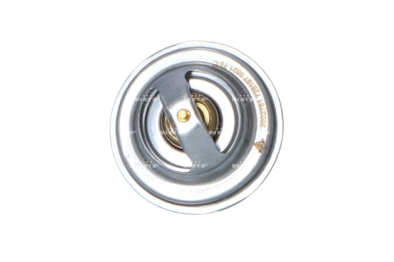 Termostat lichid racire