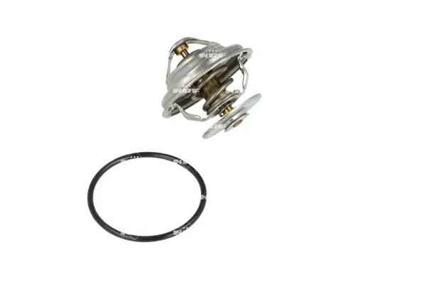 Termostat lichid racire