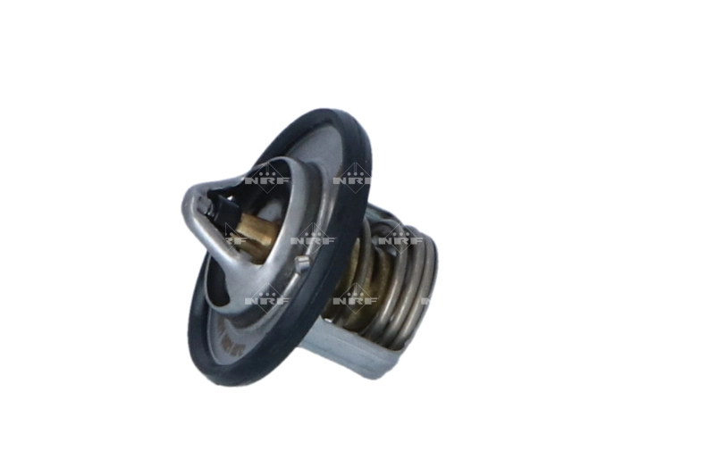 Termostat lichid racire