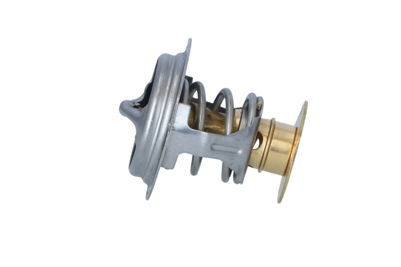 Termostat lichid racire