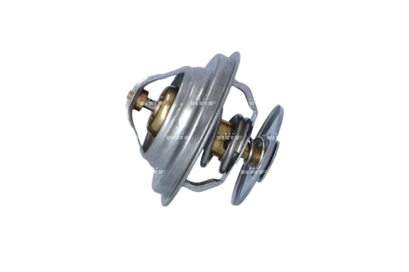 Termostat lichid racire