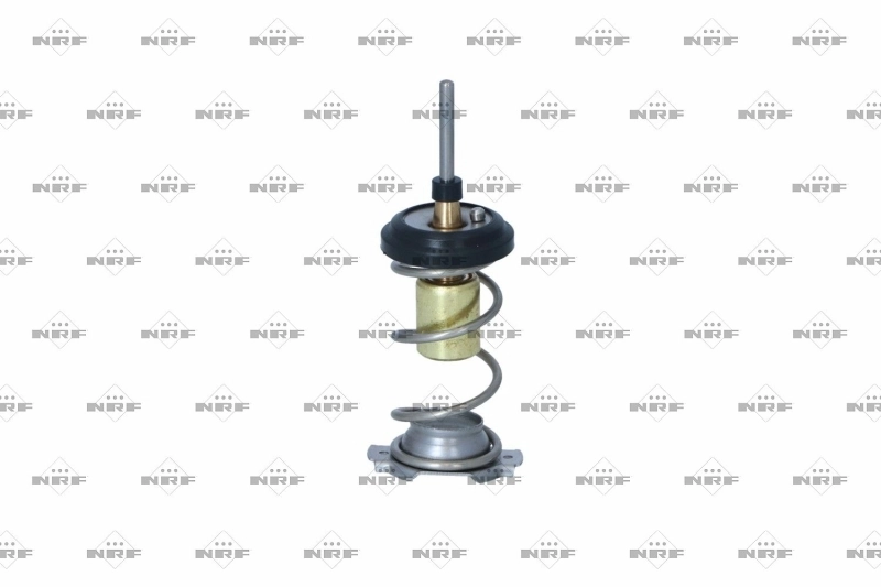 Termostat lichid racire