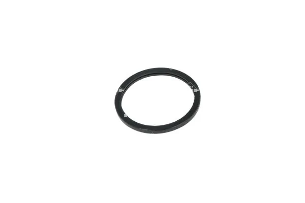 Termostat lichid racire