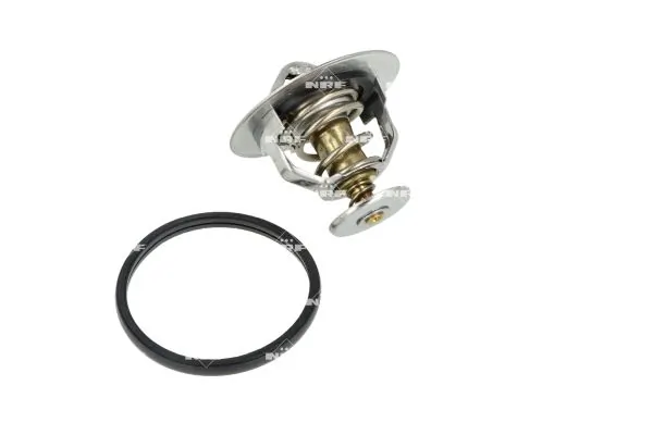 Termostat,lichid racire