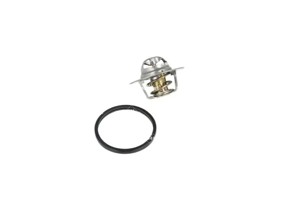 Termostat lichid racire
