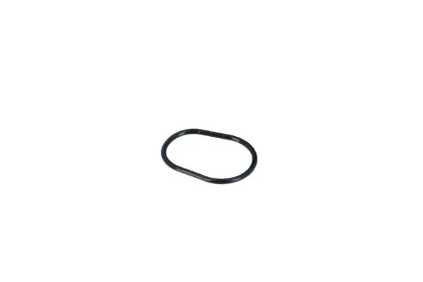 Termostat lichid racire