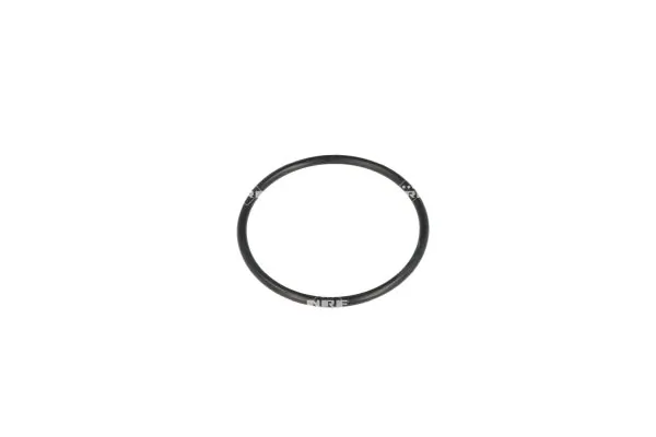 Termostat lichid racire
