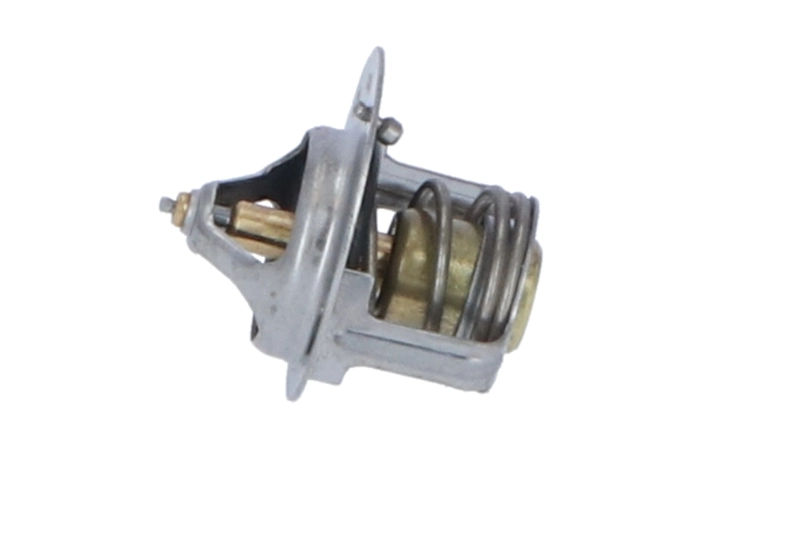 Termostat lichid racire