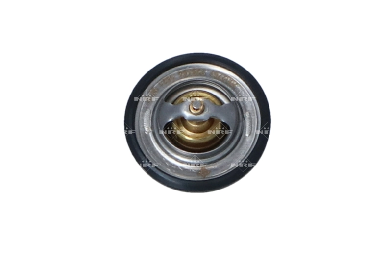 Termostat lichid racire