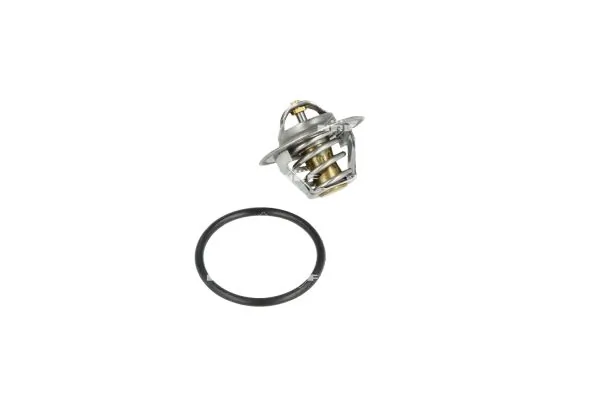 Termostat lichid racire