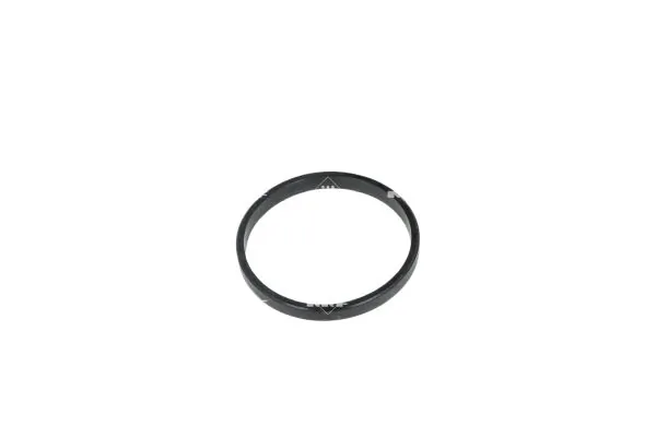 Termostat lichid racire