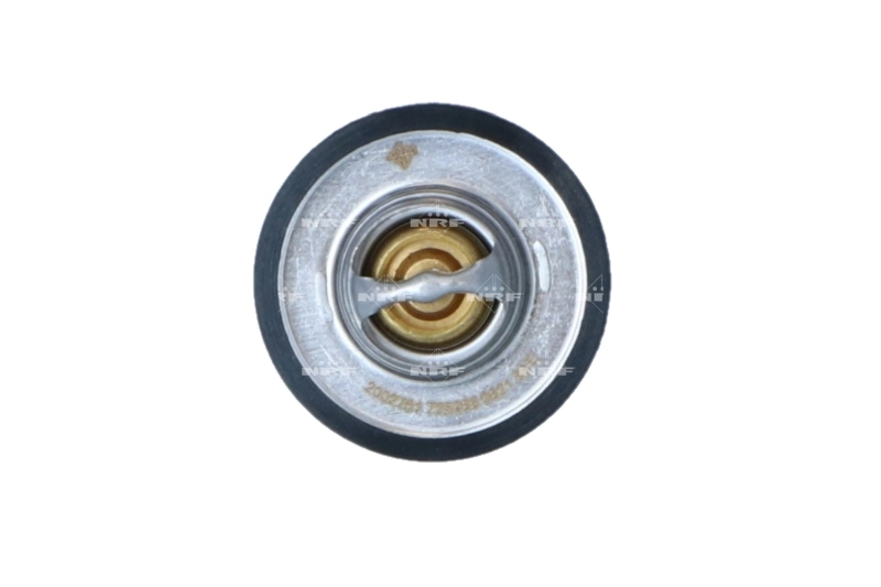 Termostat lichid racire