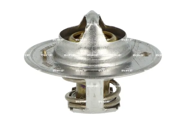 Termostat lichid racire