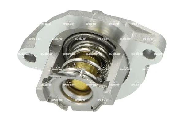 Termostat lichid racire