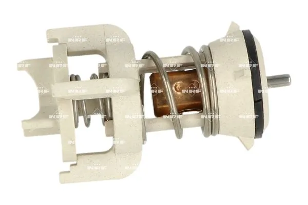 Termostat lichid racire