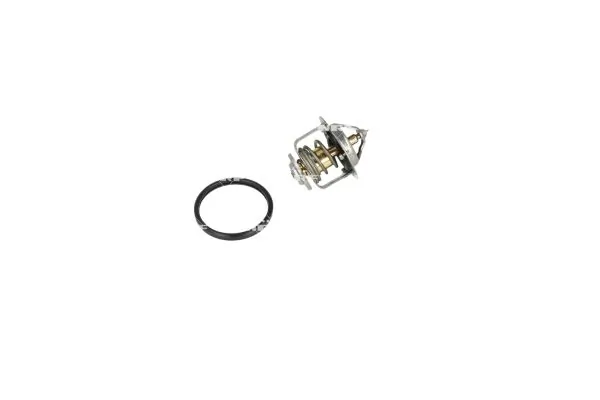 Termostat lichid racire