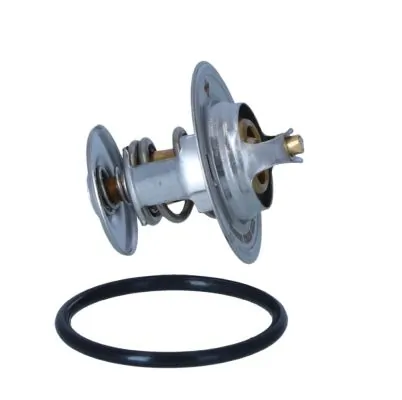 Termostat lichid racire