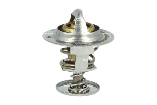 Termostat lichid racire
