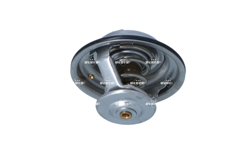 Termostat lichid racire