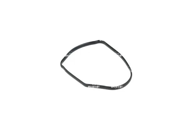 Termostat lichid racire