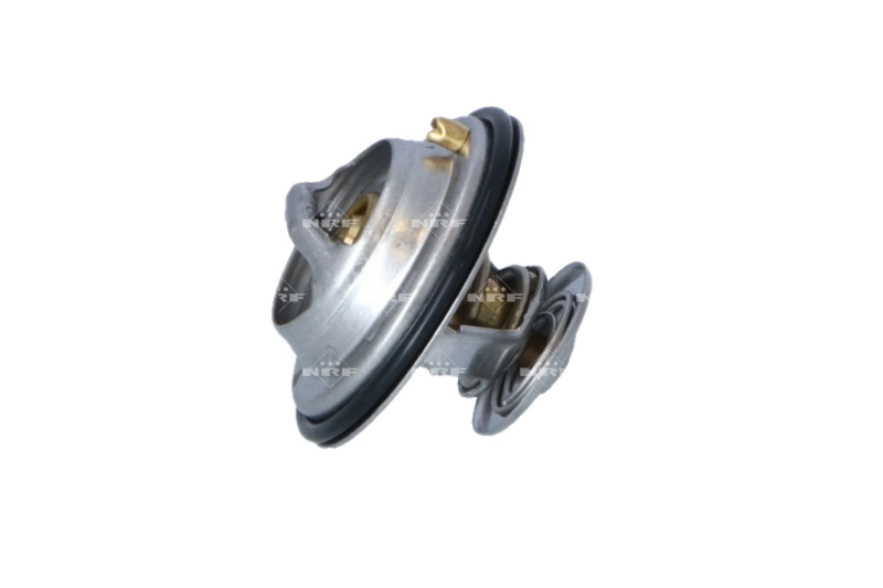 Termostat lichid racire