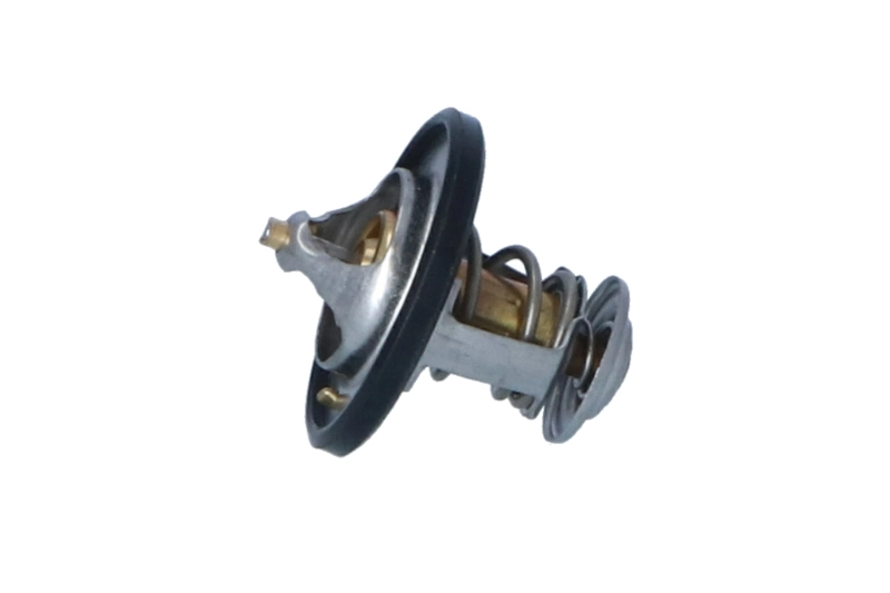 Termostat lichid racire