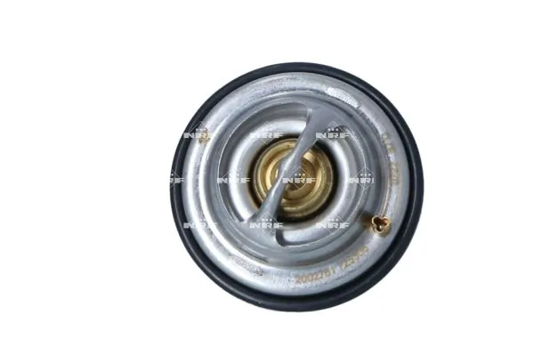 Termostat lichid racire