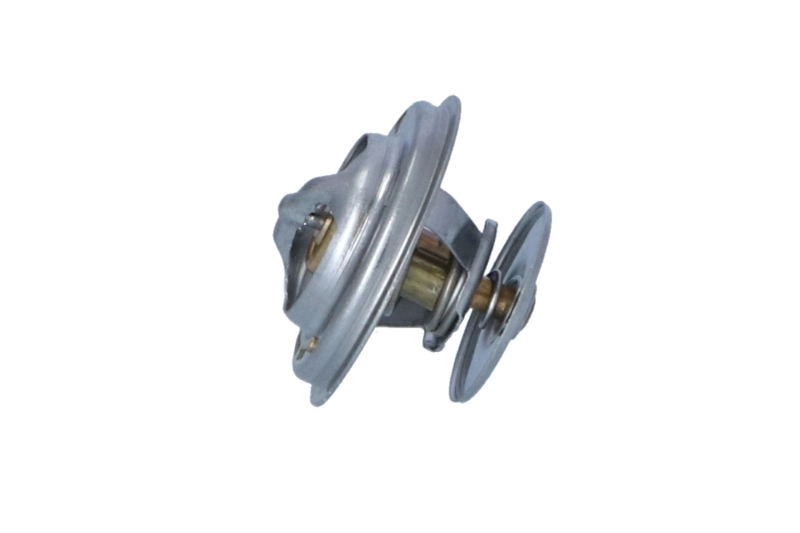 Termostat lichid racire
