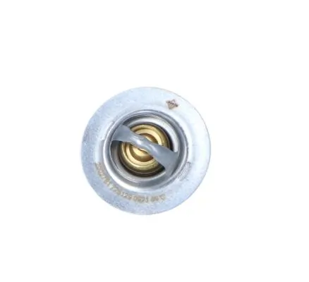 Termostat lichid racire