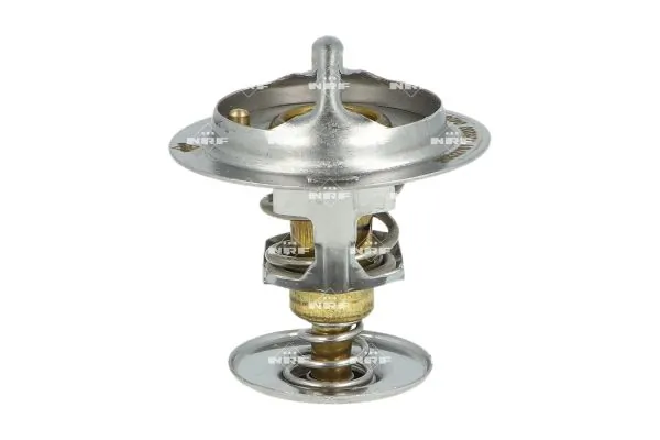 Termostat lichid racire
