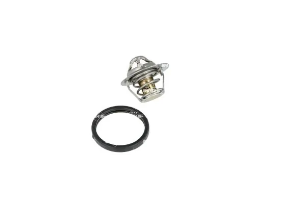 Termostat lichid racire