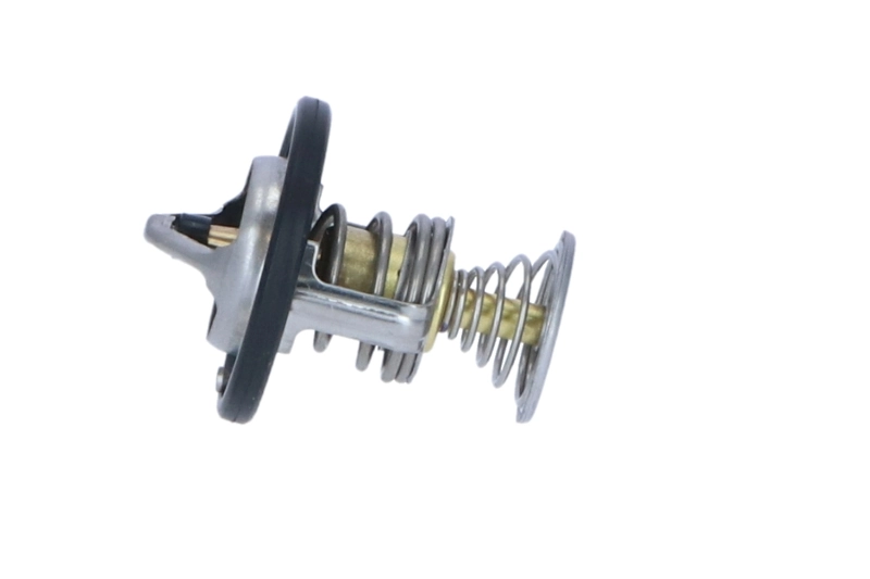 Termostat lichid racire