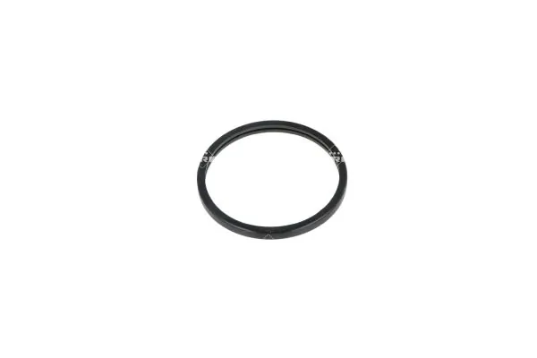 Termostat lichid racire