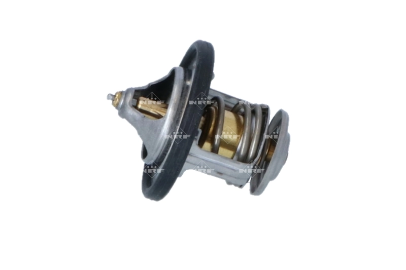 Termostat lichid racire