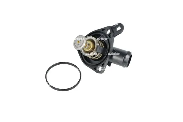Termostat,lichid racire