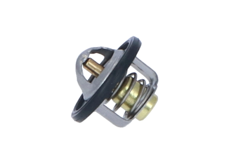 Termostat lichid racire