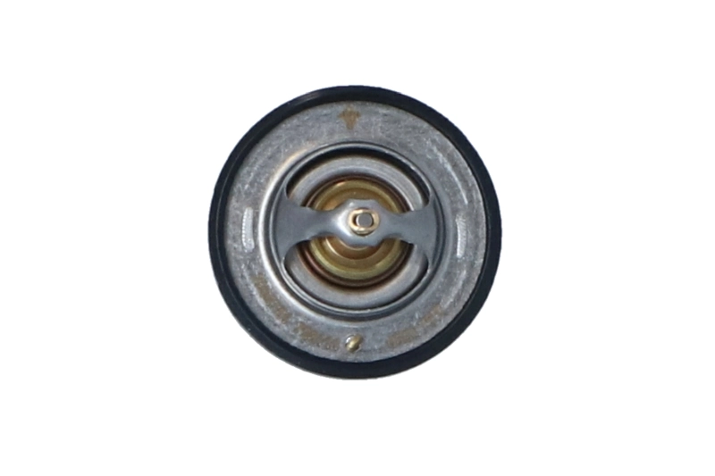Termostat lichid racire