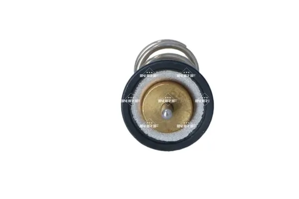 Termostat lichid racire