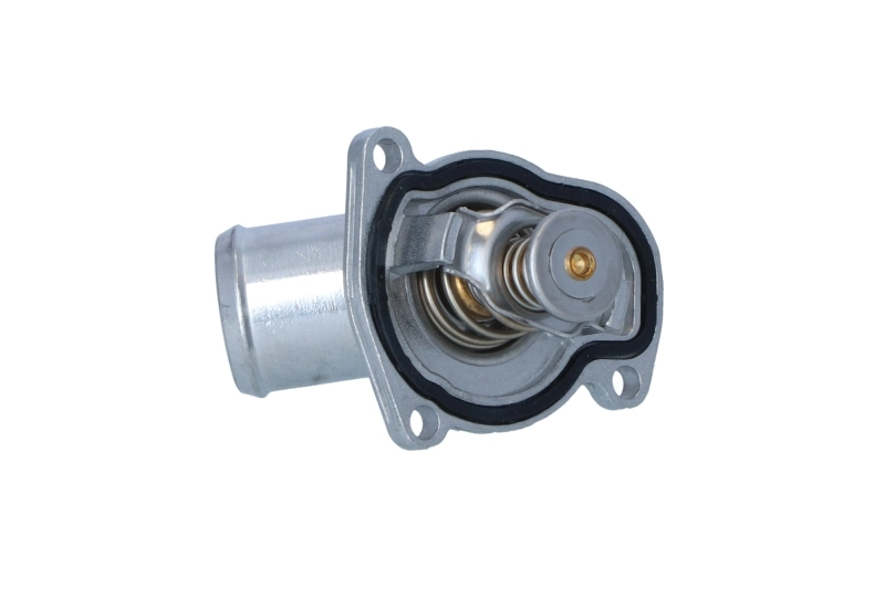 Termostat lichid racire