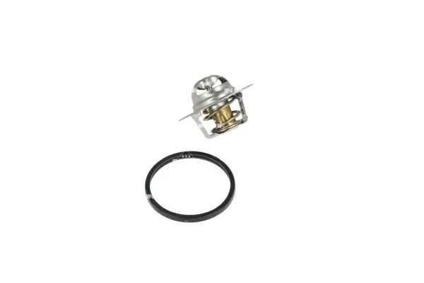 Termostat lichid racire
