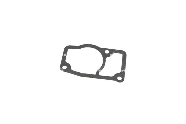 Termostat lichid racire