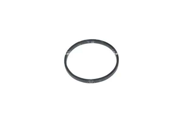 Termostat lichid racire