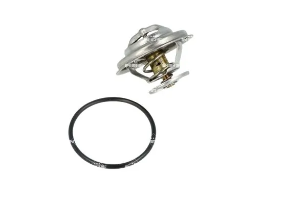 Termostat lichid racire