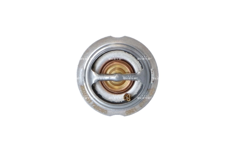 Termostat,lichid racire