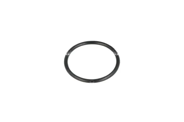 Termostat lichid racire