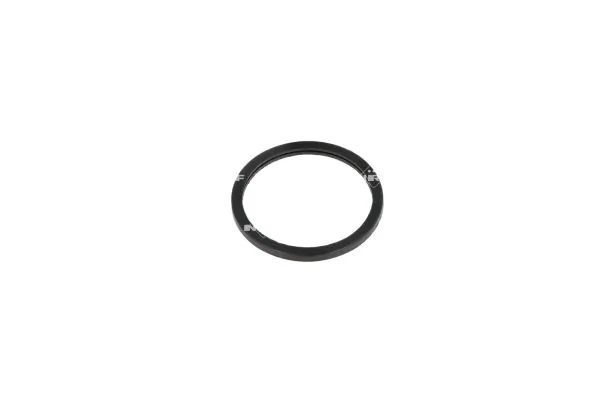 Termostat lichid racire