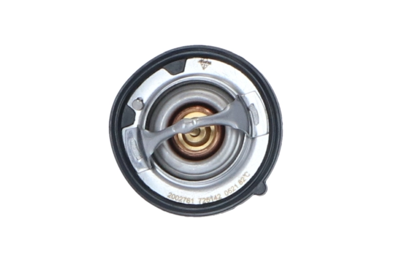 Termostat lichid racire